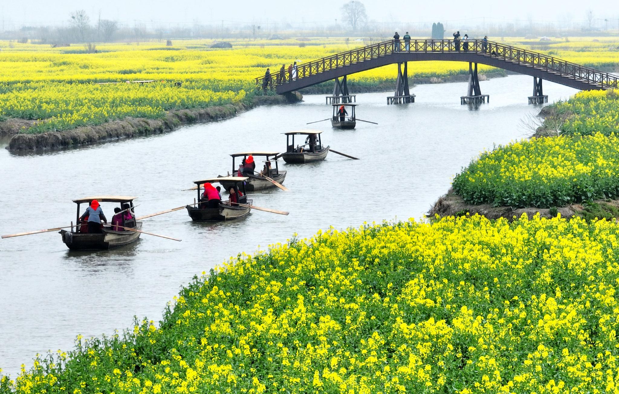 人在花中游|江苏省|湖南省_新浪新闻