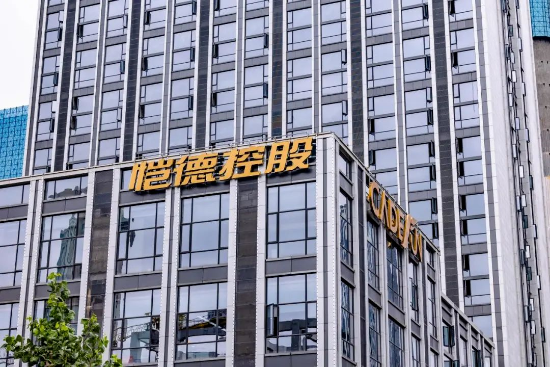 这都可以（恺德开发商怎么样）恺得医材科技股份有限公司，(图7)