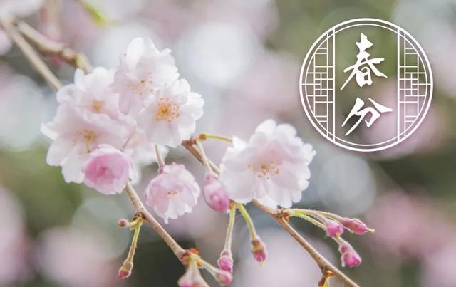 二十四节气运动养生 | 春分|睡诀铭|养生_新浪新闻