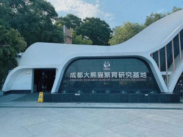 痛心！大熊猫“宝新”已去世，死因正在调查休闲区蓝鸢梦想 - Www.slyday.coM