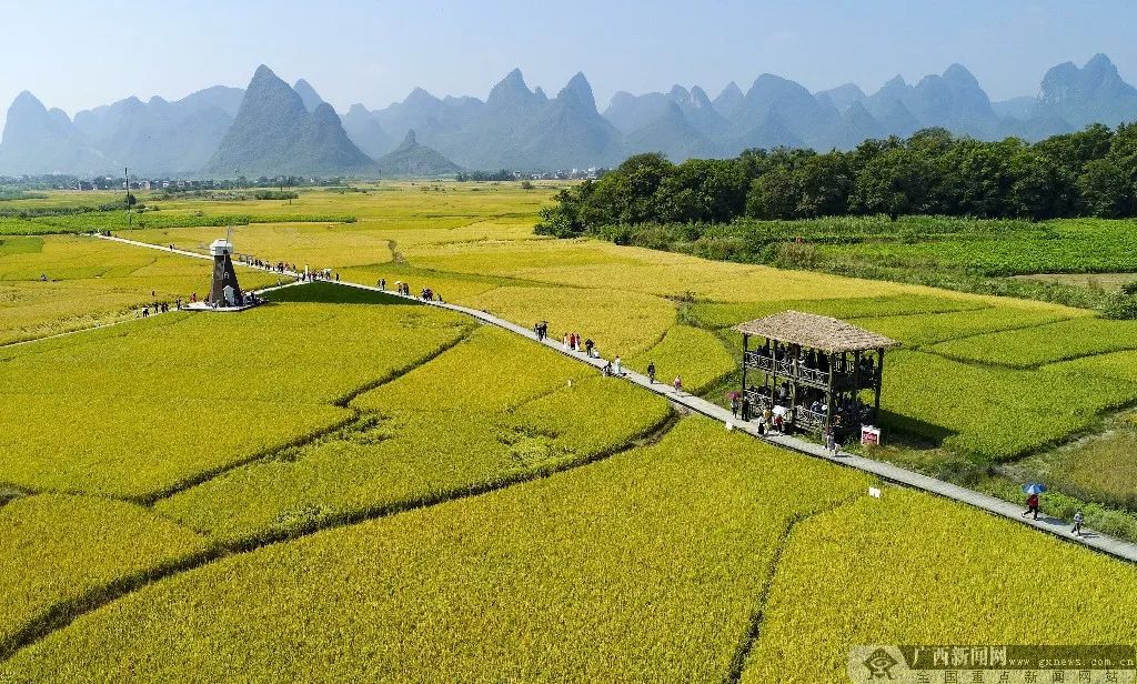 ▲柳州市柳城县古砦仫佬族乡大户村。来源：广西新闻网