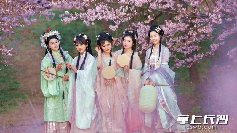 樱花汉服平分春色
