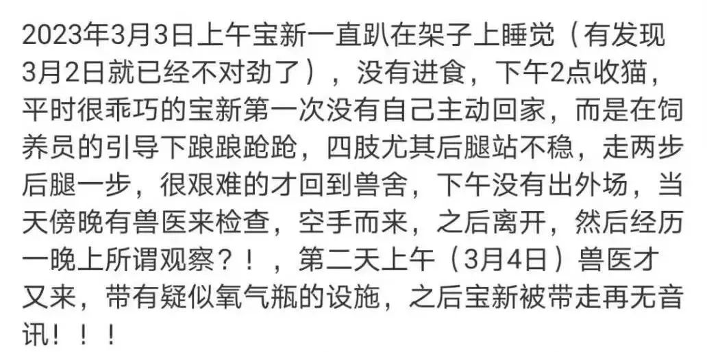 大熊猫“宝新”已去世，死因仍在调查休闲区蓝鸢梦想 - Www.slyday.coM