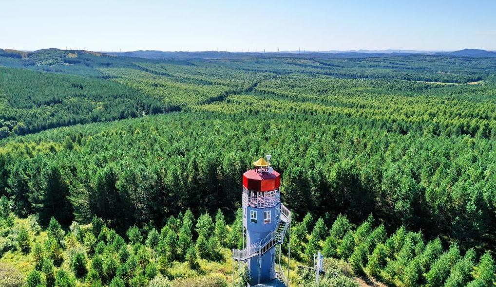 守护森林就是守护自己|中国_新浪财经_新浪网