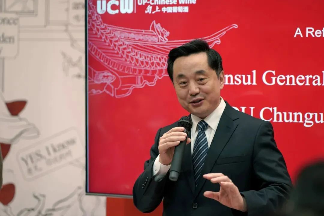 中国驻杜塞尔多夫总领事杜春国如同中国驻杜塞尔多夫总