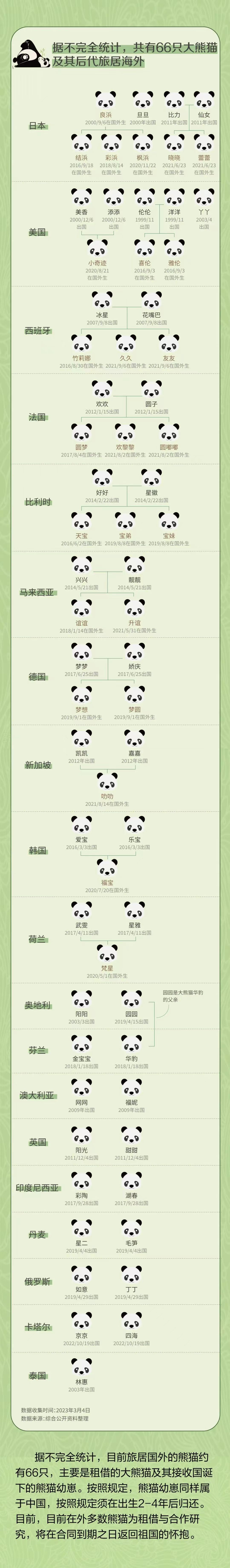 盘点旅居海外熊猫界"网红",居然可以这样,娱乐天地,顶流明星一年能赚