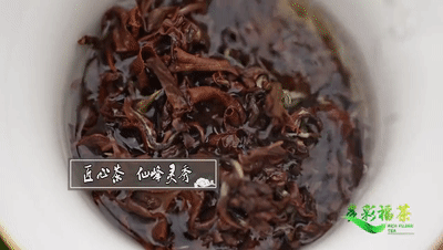 图源：福建电视台乡村振兴公共频道