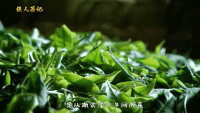 郭居敬写下的《百香诗》（图源：大田县融媒体中心）