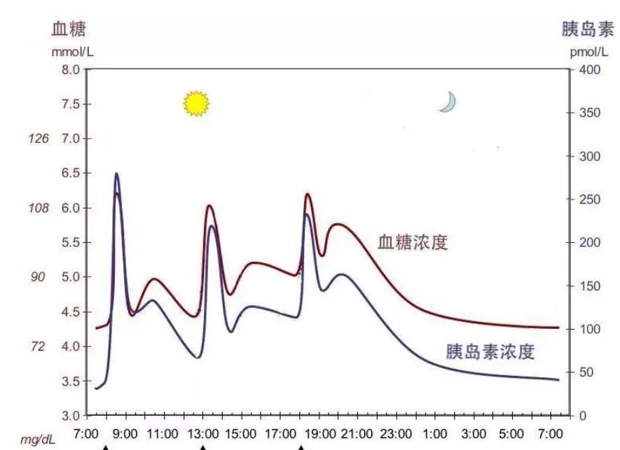 血糖波动曲线图图片