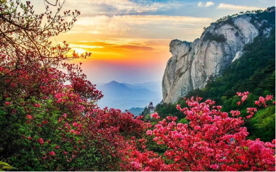 龟峰山风景杜鹃花海与龟峰旭日据了解,国家5a级旅游景区是一个地区