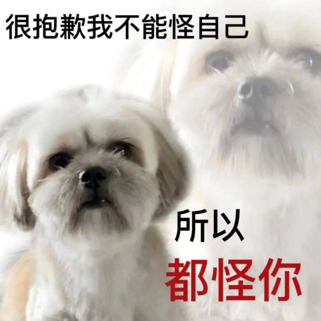 琼中搜索seo排名怎么推