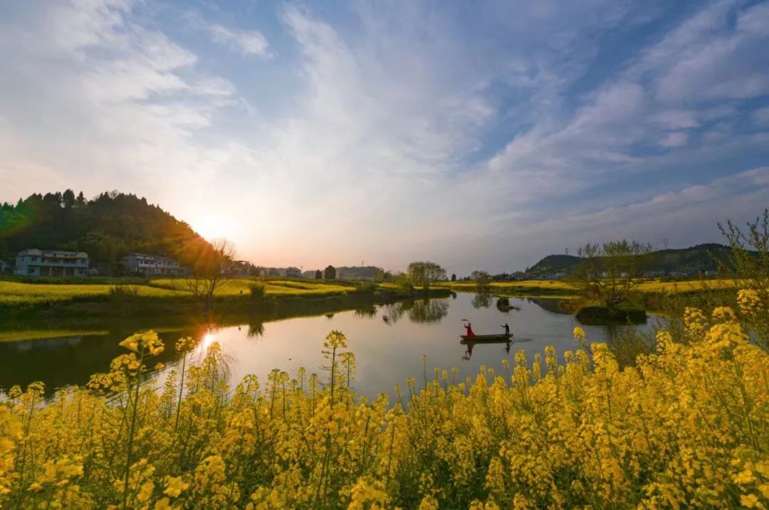 潼南区崇龛镇陈抟故里油菜花景区.蒋应俊 摄