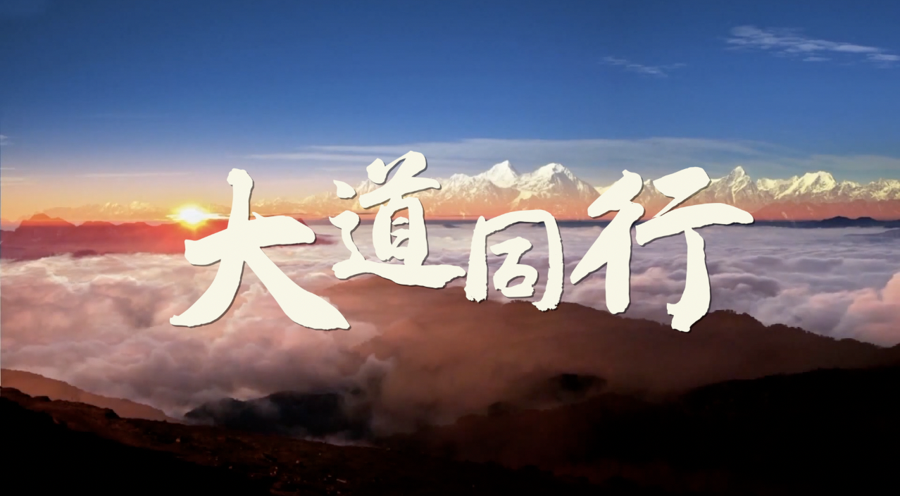 微视频|大道同行|中国_新浪新闻