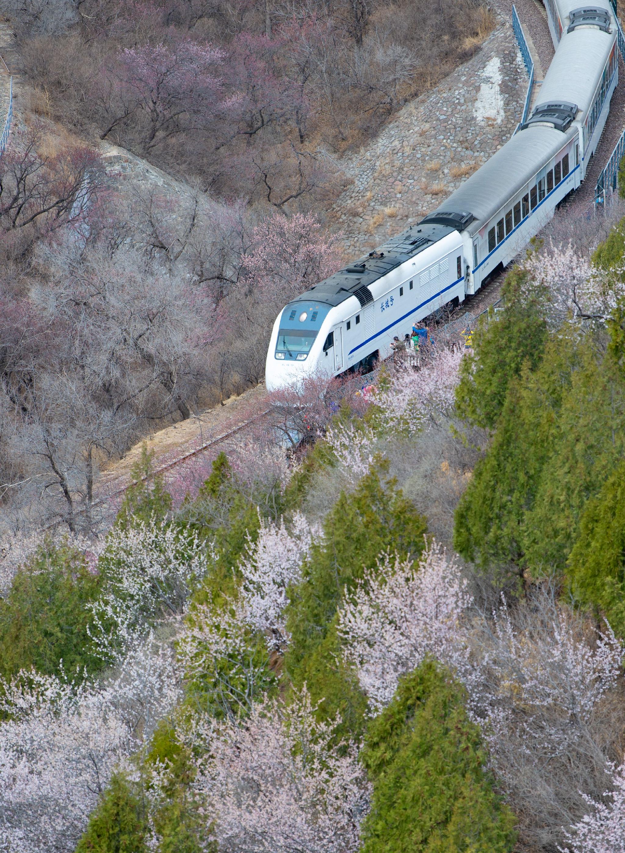 长城脚下 花海列车入画来|花海|北京市|长城_新浪新闻