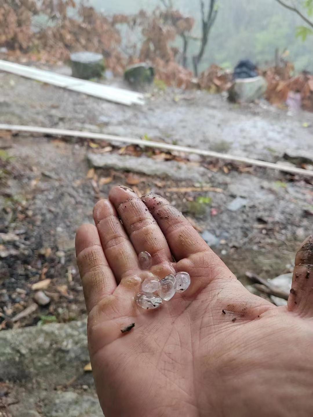 现场视频!揭阳山区下起“冰雹雨”__财经头条