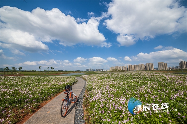 云游长沙·春之约⑦春天的洋湖美出了新高度休闲区蓝鸢梦想 - Www.slyday.coM