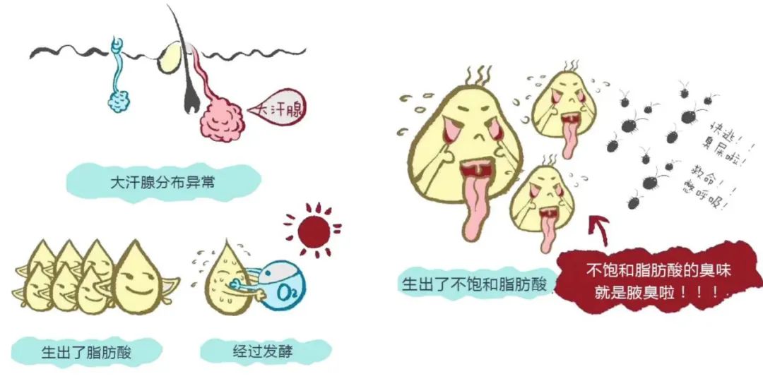 腋下异味困扰？潍坊治腋臭医院的选择与思考