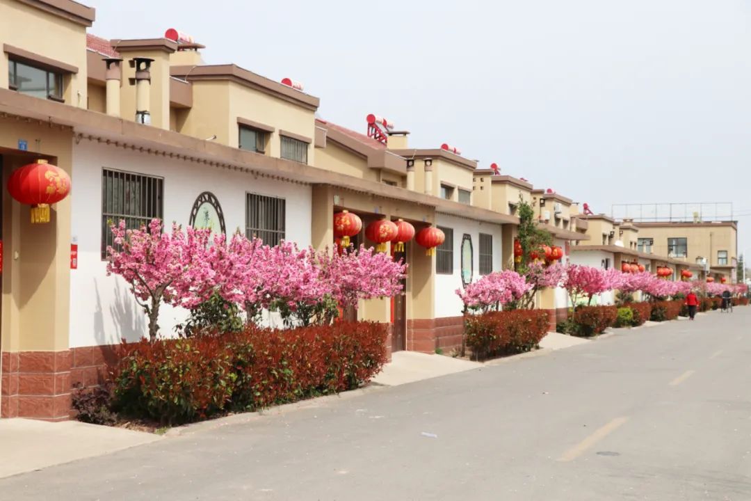 村内道路干净卫生，处处花香袭人。于光平 摄