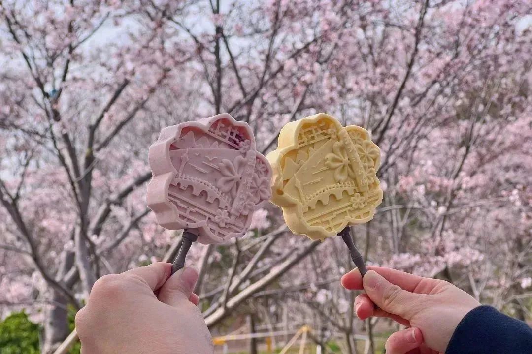 春日里的甜蜜——来自玉渊潭公园第八代樱花冰淇淋_新浪财经_新浪网