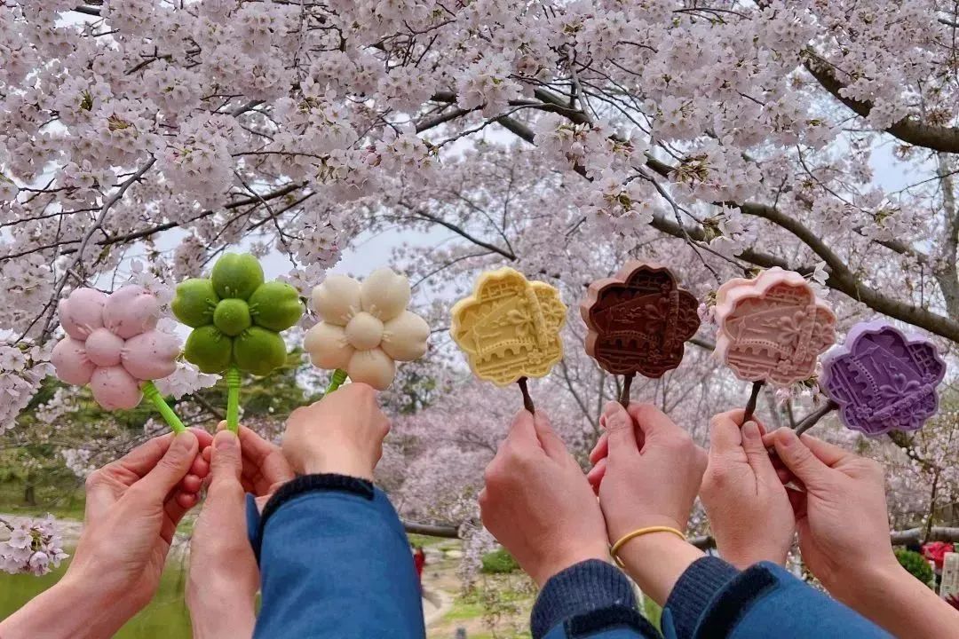 春日里的甜蜜——来自玉渊潭公园第八代樱花冰淇淋_新浪财经_新浪网