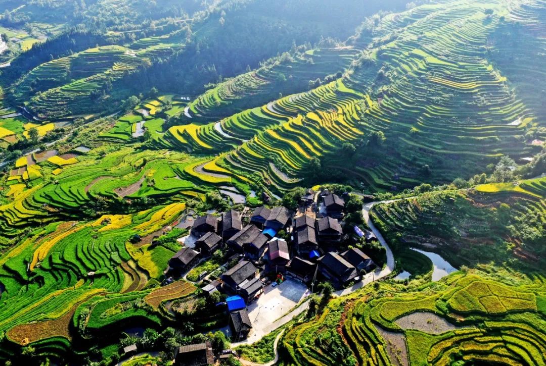 广西这4地宜居又"氧"人|广西_新浪新闻