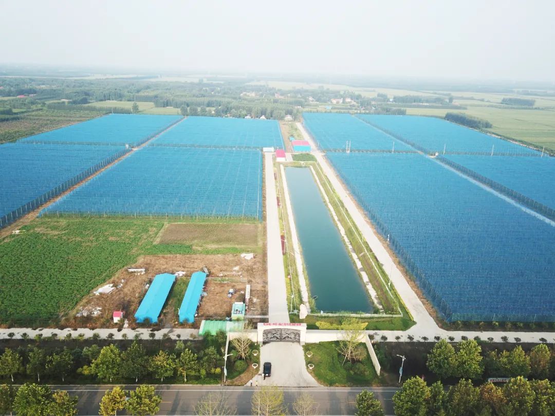 松兴屯现代农业产业园