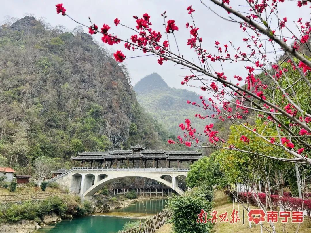 当日,记者一行首先来到环江木论喀斯特生态旅游景区.贵南高铁从广西环