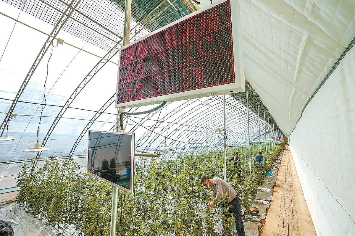 温室大棚内，温度、湿度、光照、二氧化碳浓度等数据实时监测，便于精细化管理。