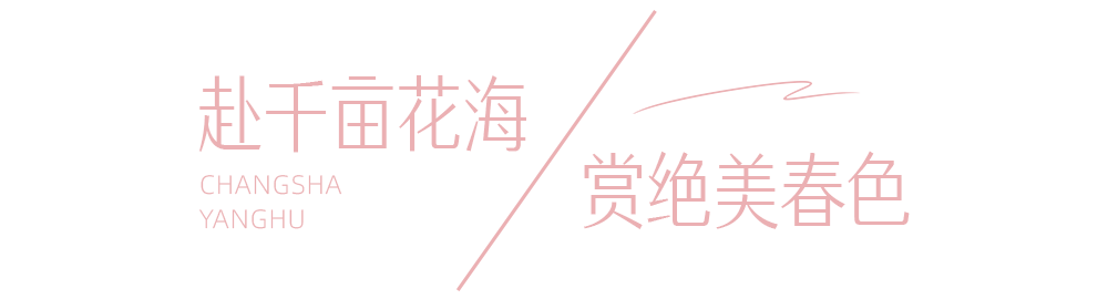 云游长沙·春之约⑦春天的洋湖美出了新高度休闲区蓝鸢梦想 - Www.slyday.coM