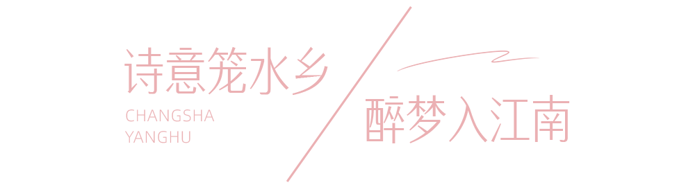 云游长沙·春之约⑦春天的洋湖美出了新高度休闲区蓝鸢梦想 - Www.slyday.coM