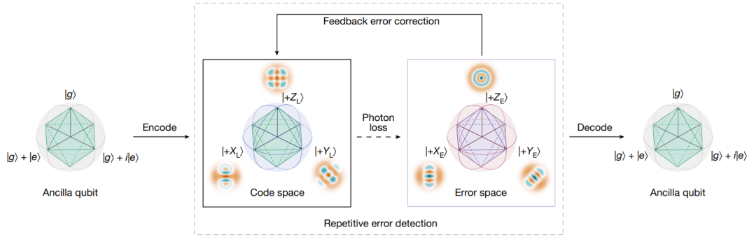 图丨量子纠错过程示意图（来源：Nature）
