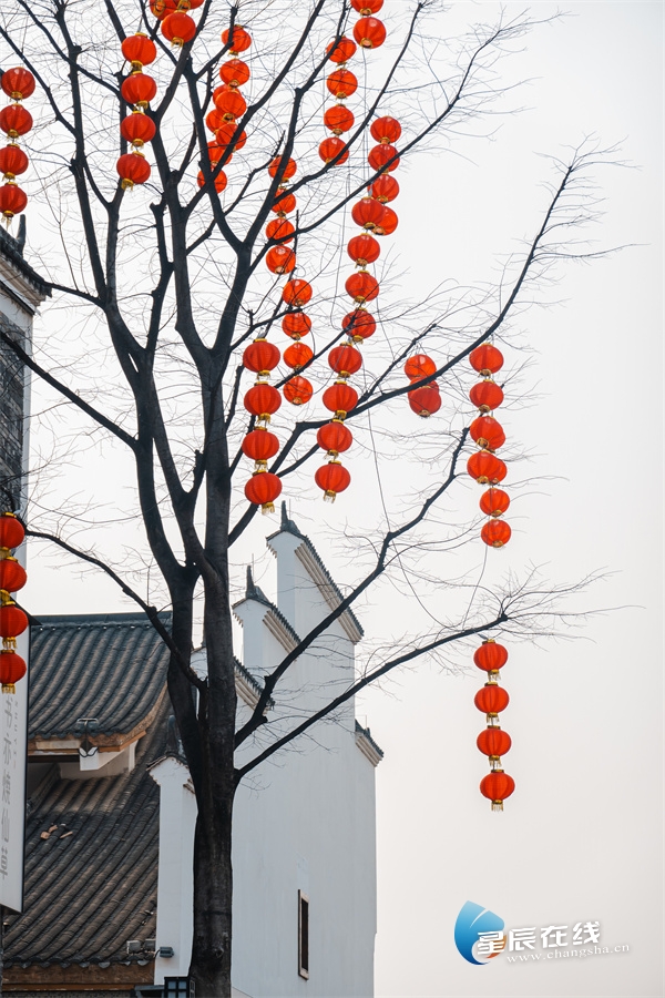 云游长沙·春之约⑦春天的洋湖美出了新高度休闲区蓝鸢梦想 - Www.slyday.coM