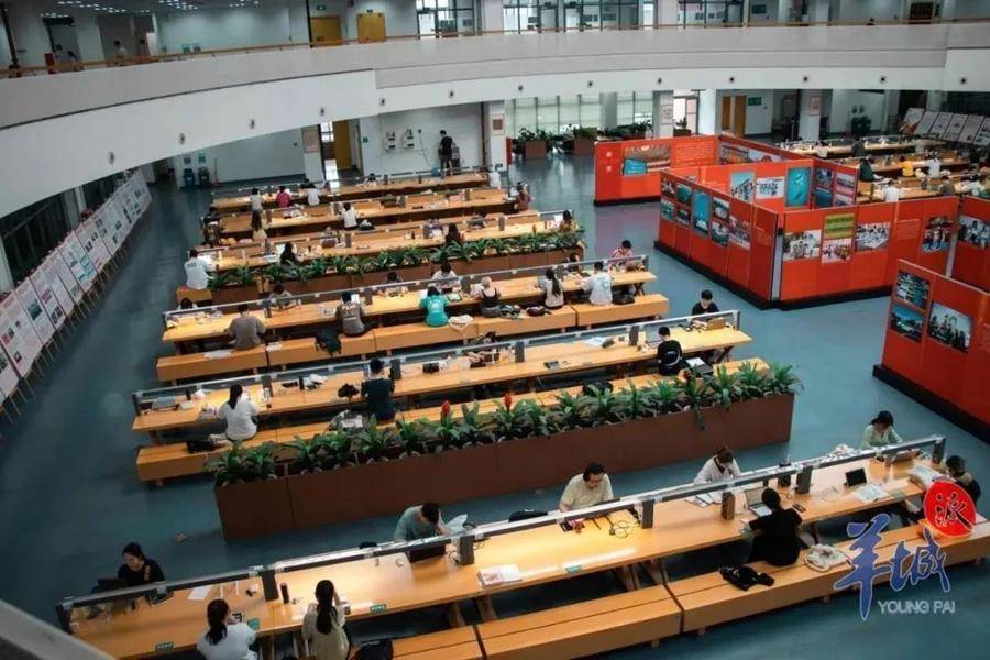 高校图书馆设发呆区馆长回应