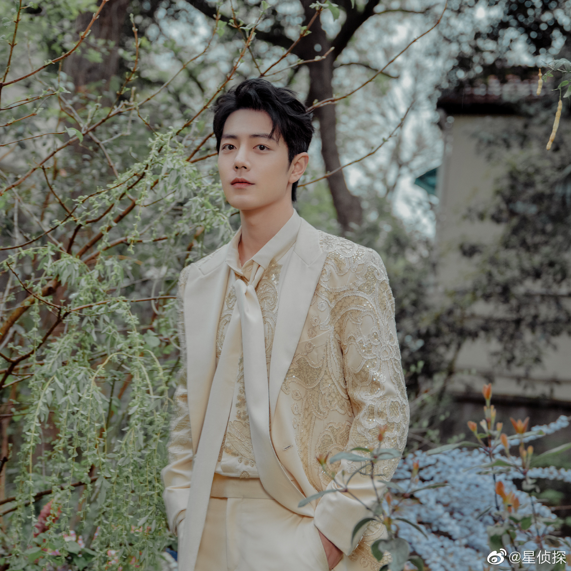 南宁品茶工作室探秘,茶香里的城市慢生活