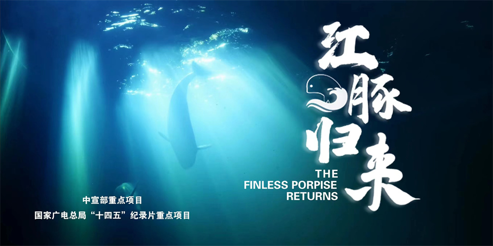 纪录片《江豚归来》:"水中大熊猫"的回归之路