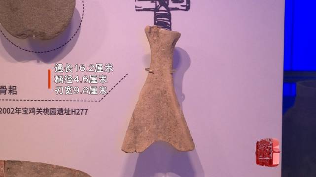 宝鸡关桃园遗址骨耜跟北方旱作农业耕种方式有关|宝鸡市|陕西省|考古_新浪新闻