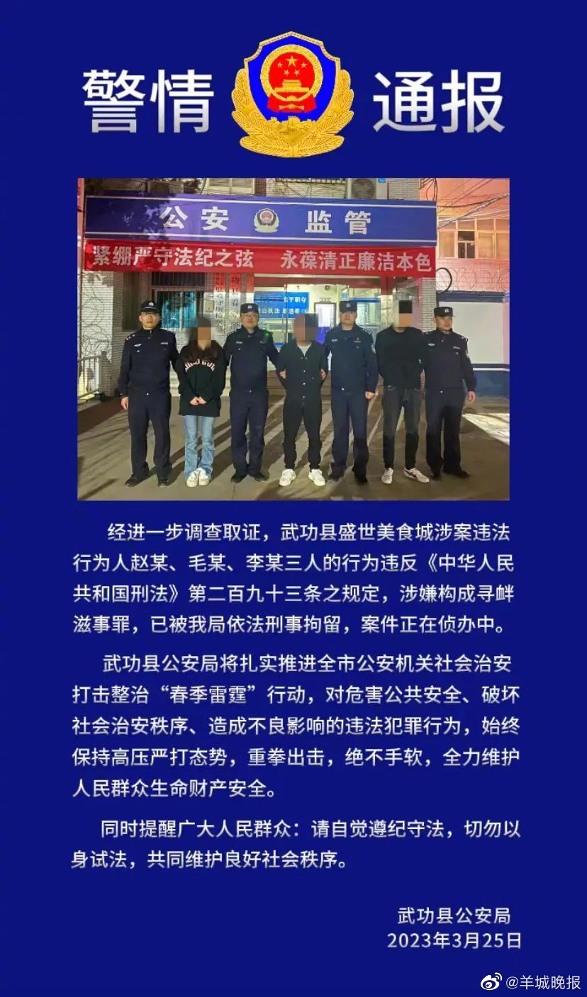 陕西警方通报女子遭多名男子殴打最新进展|咸阳市|武功县|违法行为|寻衅滋事罪|陕西省_新浪新闻