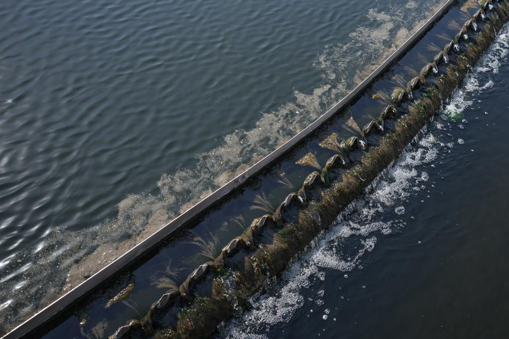 　这是沈阳南部污水处理厂二沉池，污水在二沉池通过物理的沉淀作用使泥水得到分离（3月17日摄）。新华社记者潘昱龙摄