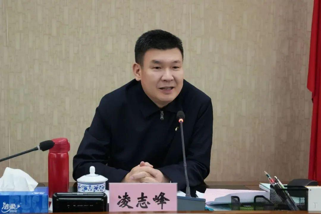 凌志峰(资料图 图片来源:广西司法厅)