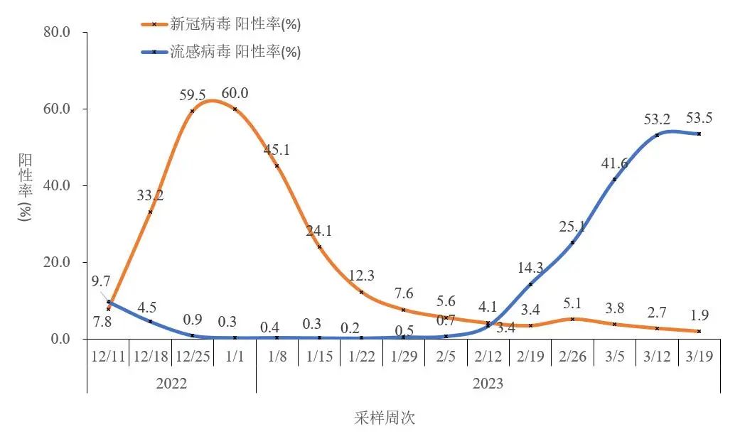 图2-5 全国哨点医院流感样病例新冠和流感病毒阳性率变化趋势（数据来源于402家网络实验室）