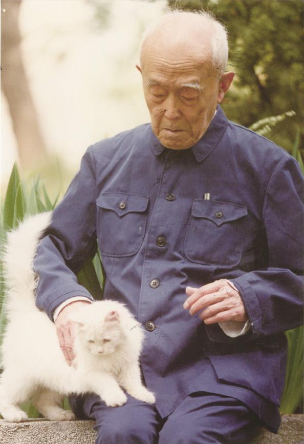 季羡林先生和猫