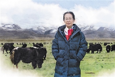 雪域高原上的"牦牛博士"(科技群英绘·最美科技工作者)|高寒_新浪新闻