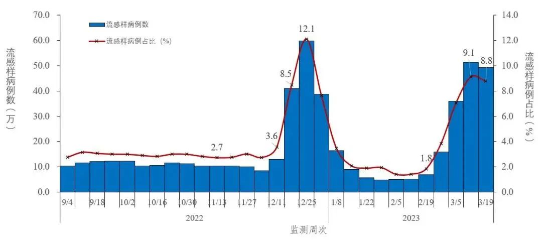 图2-4 全国哨点医院报告的流感样病例数及占比变化趋势（数据来源于824家哨点医院） 