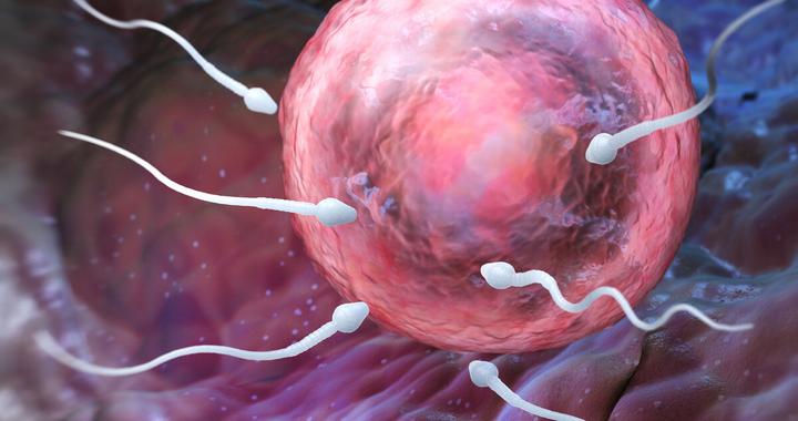 精子在女性体内存活多长时间？