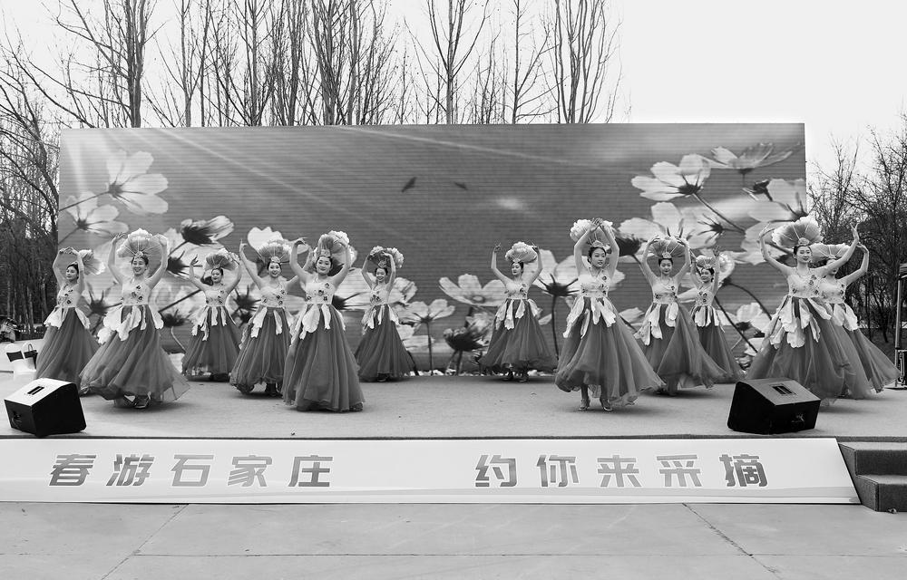 　　春景美如画，图为我市鲜花盛开的滹沱河畔，吸引广大市民纷纷前来春游踏青。