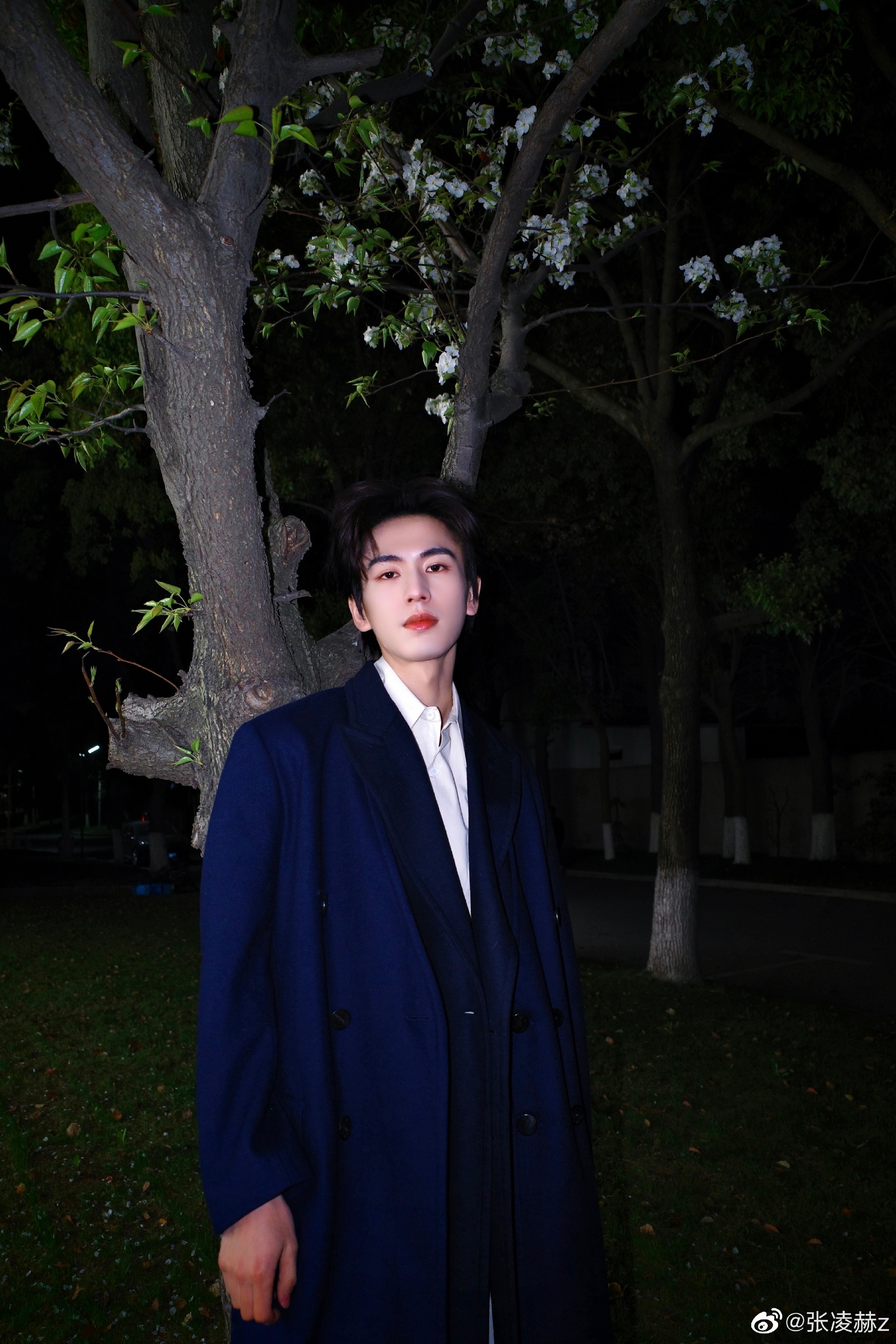 张凌赫晒十二宫格live随拍 今日份日常随拍,好帅气|张凌赫_新浪新闻