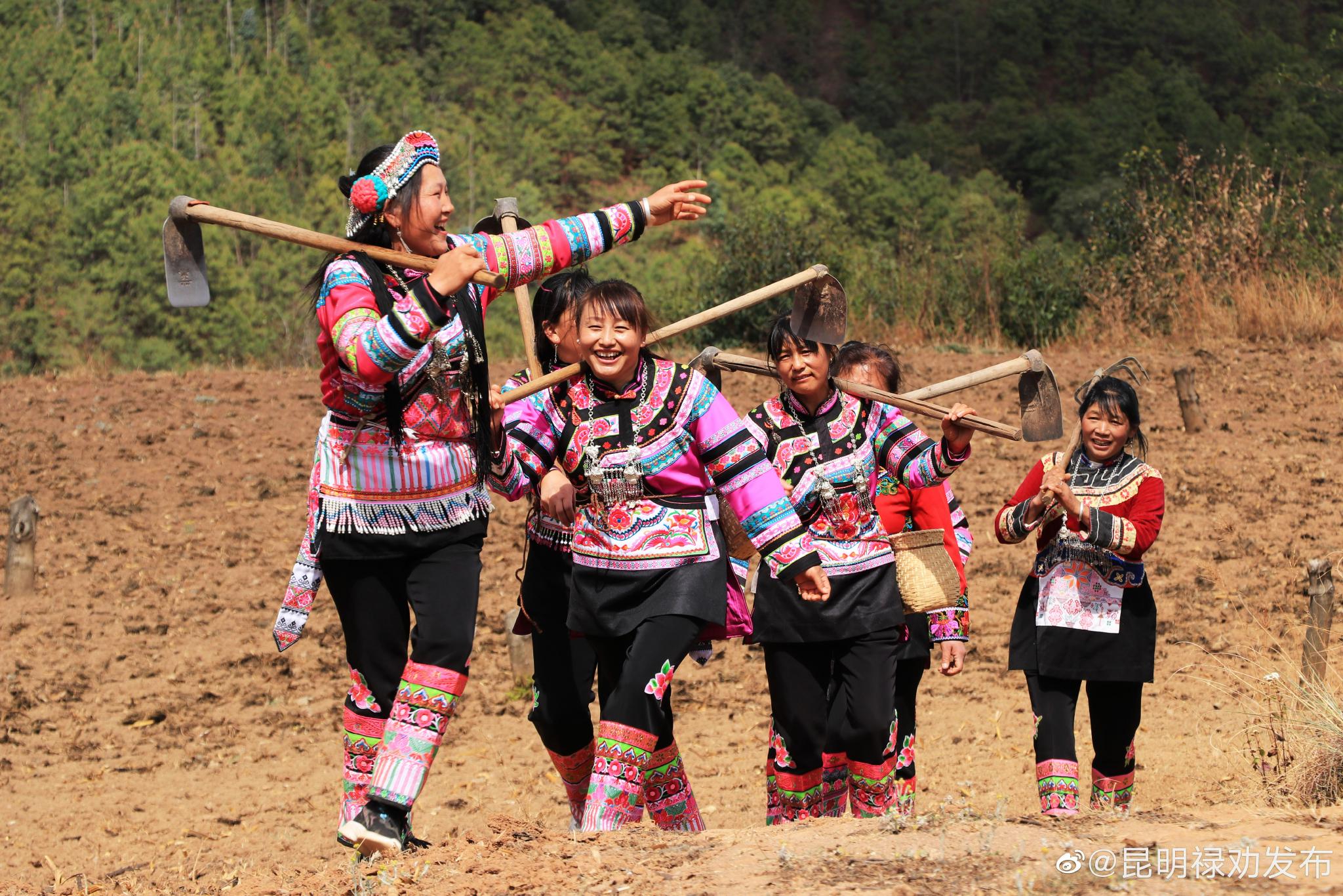 禄劝县文化和旅游局进行傈僳族祭龙节数据采集