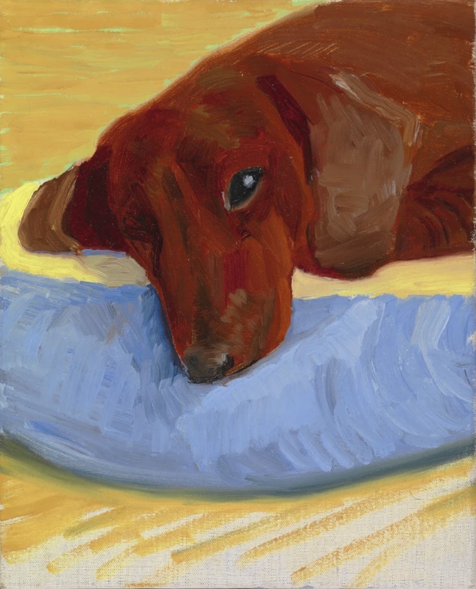 跨越300年的狗肖像,在庚斯博罗到霍克尼笔下