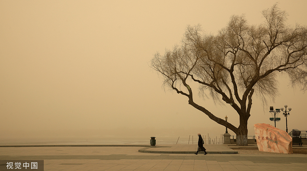 中青报三问今年最强沙尘侵扰:植被好转为何挡不住漫天黄沙