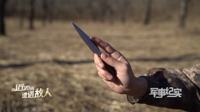 飞刀常用的手法主要有直飞和旋飞两种……|飞刀_新浪新闻